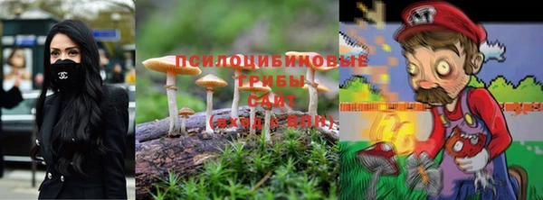 гашик Нея