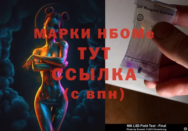 гашик Нея